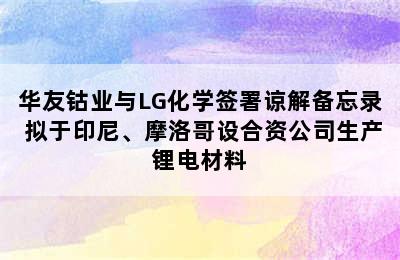 华友钴业与LG化学签署谅解备忘录 拟于印尼、摩洛哥设合资公司生产锂电材料